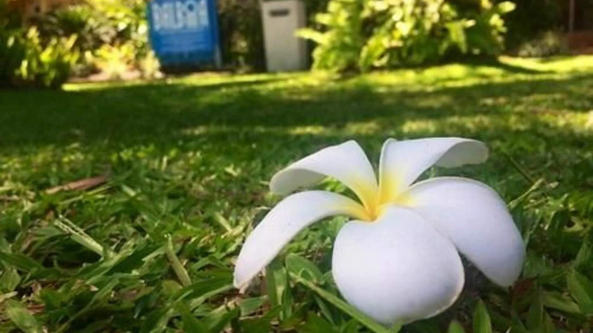 Balboa Apartments Port Douglas Aparthotel